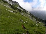 End of road on Vogar - Velika Tičarica